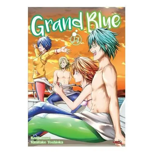 Grand Blue. Tom 14