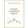 Sukces na wielką skalę - ebook EPUB Sklep on-line