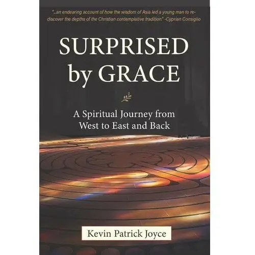 Surprised By Grace - ebook EPUB