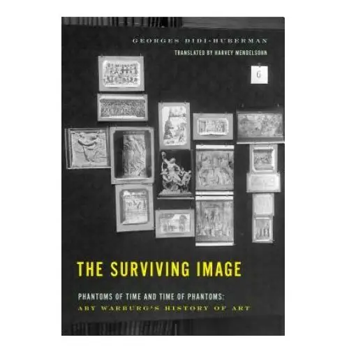 Surviving Image