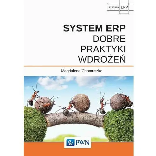 System ERP. Dobre praktyki wdrożeń