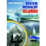 System medialny Islandii (E-book) Sklep on-line