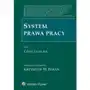 System prawa pracy. tom i. część ogólna Sklep on-line