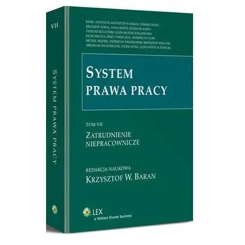 System prawa pracy. tom vii. zatrudnienie niepracownicze