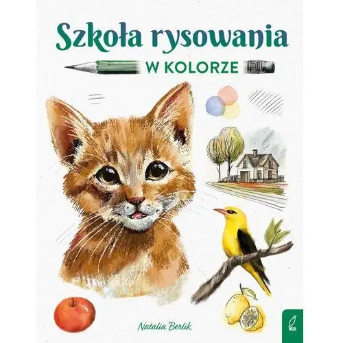 Szkoła rysowania w kolorze