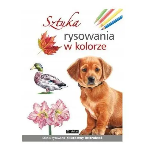 Sztuka Rysowania W Kolorze Twarda