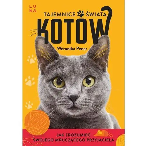 Tajemnice świata kotów