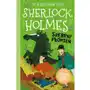 Srebrny płomień. klasyka dla dzieci. sherlock holmes. tom 16 Tandem Sklep on-line