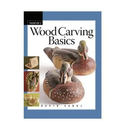 Wood carving basics Taunton press inc