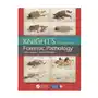 Taylor & francis ltd Knight's forensic pathology Sklep on-line