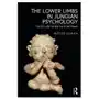 Lower Limbs in Jungian Psychology Sklep on-line