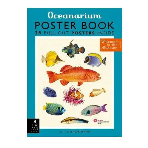 Templar publishing Oceanarium poster book