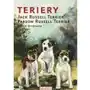 Terriery Jack Russell, Terrier Parson Russell Terrier Sklep on-line