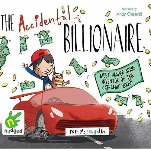 The Accidental Billionaire