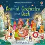 The Animal Orchestra Plays Bach Taplin Sam Sklep on-line