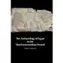 The Archaeology of Egypt in the Third Intermediate Period Bennett James Sklep on-line