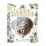 The Chronicles of Narnia Colouring Books Lewis C. S Sklep on-line