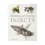 Drawing and painting insects The crowood press ltd Sklep on-line