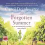 The Forgotten Summer Sklep on-line