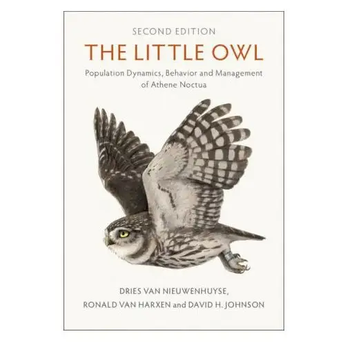 The Little Owl