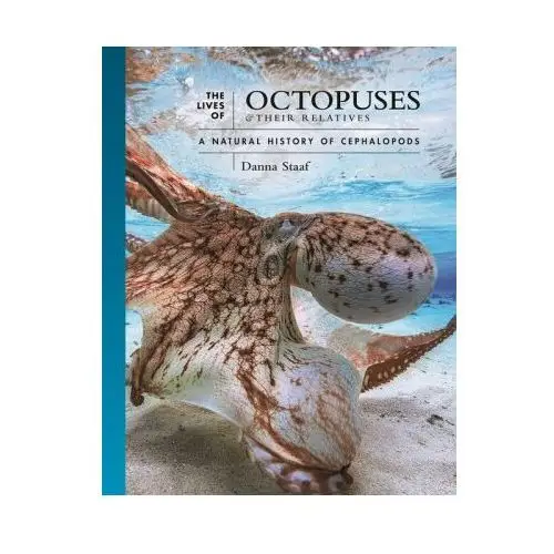 The lives of octopuses and their relatives – a natural history of cephalopods Princeton university press