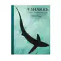 The lives of sharks – a natural history of shark life Princeton university press Sklep on-line