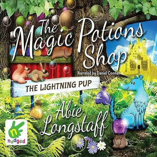 The Magic Potions Shop