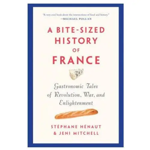 The new press Bite-sized history of france