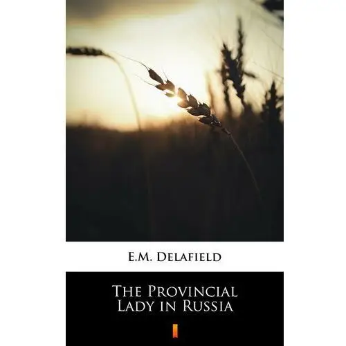 The provincial lady in russia