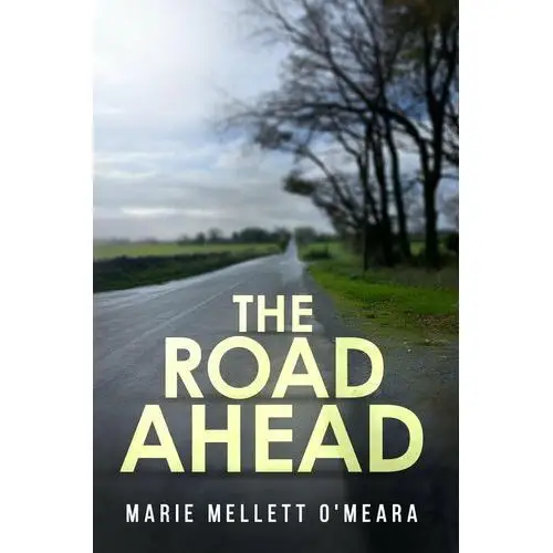 The Road Ahead - ebook EPUB