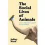 The Social Lives of Animals: How Co-operation Conquered the Natural World Sklep on-line