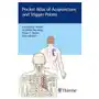 Pocket atlas of acupuncture and trigger points Thieme publishing group Sklep on-line