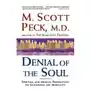 Denial of the soul: spiritual and medical perspectives on euthanasia and mortality Three rivers pr Sklep on-line