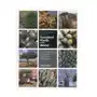 Timber Press Guide to Succulent Plants of the World Dortort, Fred Sklep on-line