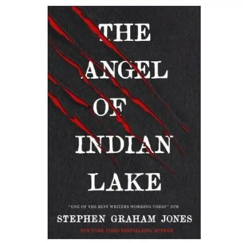 Angel of indian lake Titan books