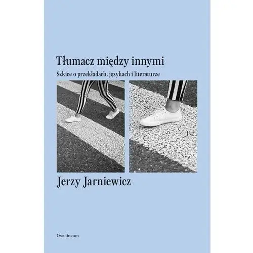 Tłumacz między innymi. Szkice o przekładach, językach i literaturze