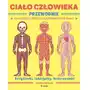 Totamto Ciało człowieka. przewodnik dla dzieci, które chcą poznać swoje ciało wyd. 2023 Sklep on-line