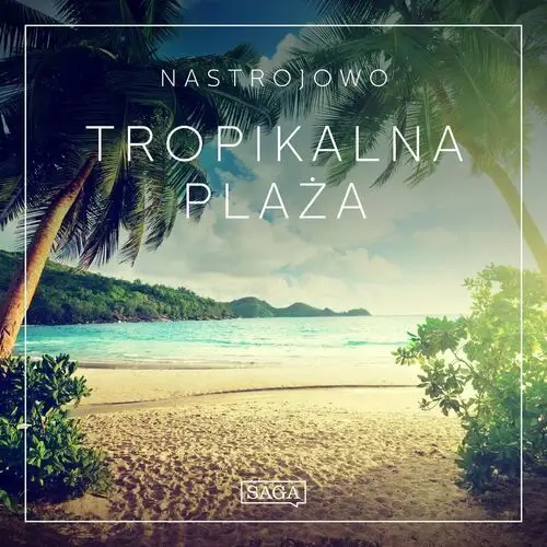 Tropikalna plaża. Nastrojowo