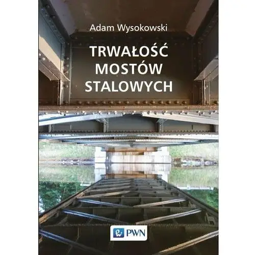 Trwałość mostów stalowych