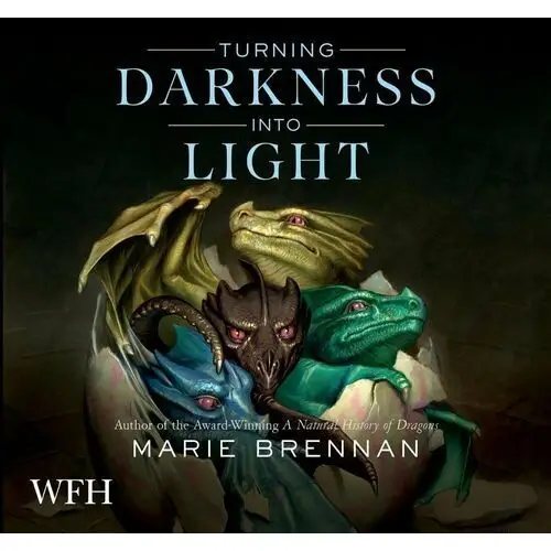 Turning Darkness into Light