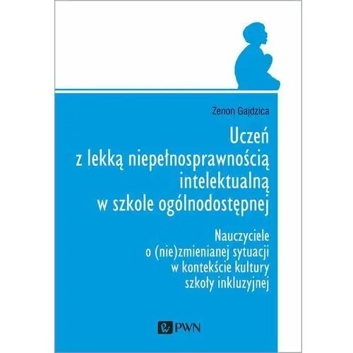 Uczeń z lekką niepełnosprawnością intelektualną w szkole ogólnodostępnej