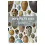 Univ of chicago pr The book of eggs: a lifesize guide to the eggs of six hundred of the world's bird species Sklep on-line