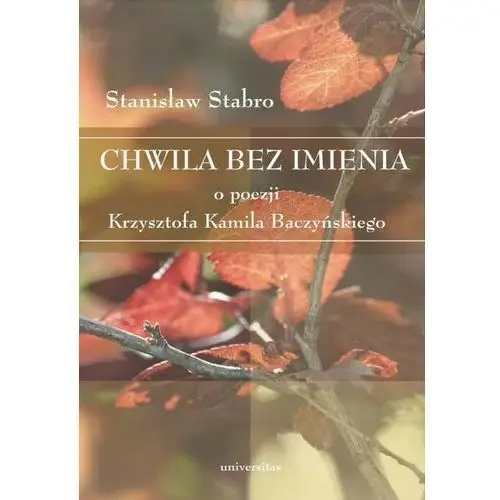 Chwila bez imienia. o poezji krzysztofa kamila baczyńskiego Universitas