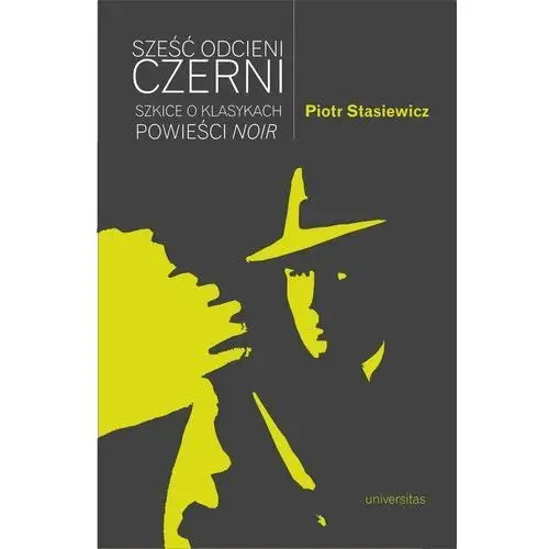 Sześć odcieni czerni szkice o klasykach powieści noir