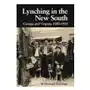 University of illinois press Lynching in the new south Sklep on-line