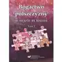 Bogactwo polszczyzny w świetle jej historii. t. 5, AZ#C454E44BEB/DL-ebwm/pdf Sklep on-line