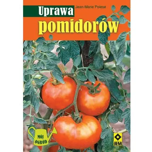 Uprawa pomidorów