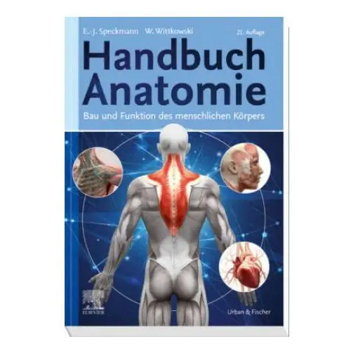 Handbuch anatomie Urban & fischer/elsevier