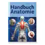 Handbuch anatomie Urban & fischer/elsevier Sklep on-line