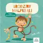 Urodziny małpki Ali Sklep on-line